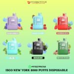 ISGO NEW YORK 8000 PUFFS DISPOSABLE VAPE DUBAI