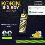 KOKIN BIG BOY 10000 PUFFS CRAZY MANGO DISPOSABLE VAPE DUBAI UAE