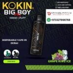 KOKIN BIG BOY 10000 PUFFS GRAPE KING ICE DISPOSABLE VAPE DUBAI UAE