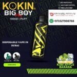 KOKIN BIG BOY 10000 PUFFS KIWI APPLE BANANA DISPOSABLE VAPE DUBAI UAE