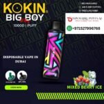 KOKIN BIG BOY 10000 PUFFS MIXED BERRY ICE DISPOSABLE VAPE DUBAI UAE