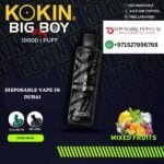 KOKIN BIG BOY 10000 PUFFS MIXED FRUITS DISPOSABLE VAPE DUBAI UAE