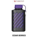 VOZOL GEAR 10000 PUFFS DISPOSABLE VAPE DUBAI UAE CEDAR BERRIES
