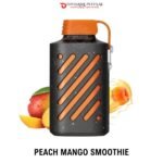 VOZOL GEAR 10000 PUFFS DISPOSABLE VAPE DUBAI UAE PEACH MANGO SMOOTHIE