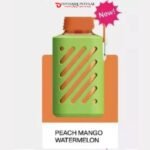 VOZOL GEAR 10000 PUFFS DISPOSABLE VAPE DUBAI UAE PEACH MANGO WATERMELON