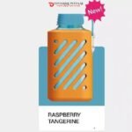 VOZOL GEAR 10000 PUFFS DISPOSABLE VAPE DUBAI UAE RASPBERRY WATERMELON