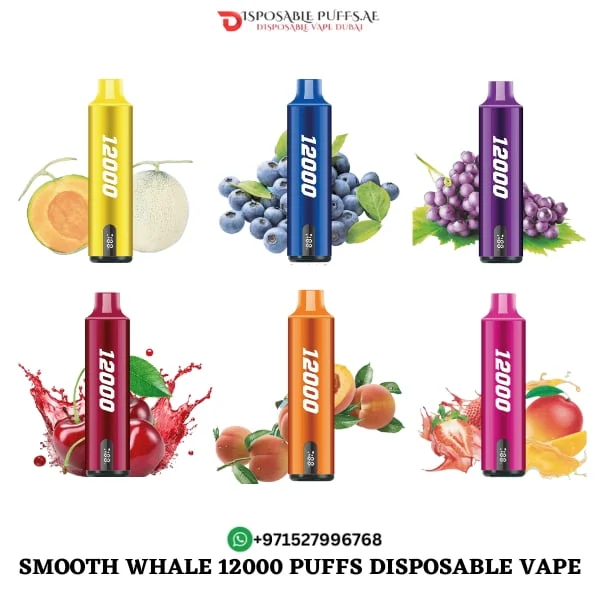 BUY SMOOTH WHALE 12000 PUFFS DISPOSABLE VAPE DUBAI UAE