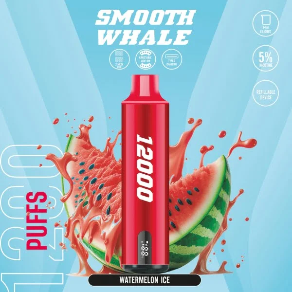 BUY SMOOTH WHALE 12000 PUFFS WATERMELON ICE DISPOSABLE VAPE DUBAI UAE