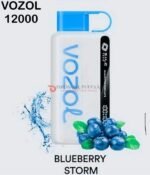 Vozol Star 12000 Puffs Blueberry Storm Disposable Vape in Dubai, Abu Dhabi, UAE