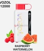 Vozol Star 12000 Puffs Raspberry Watermelon Disposable Vape in Dubai, Abu Dhabi, UAE